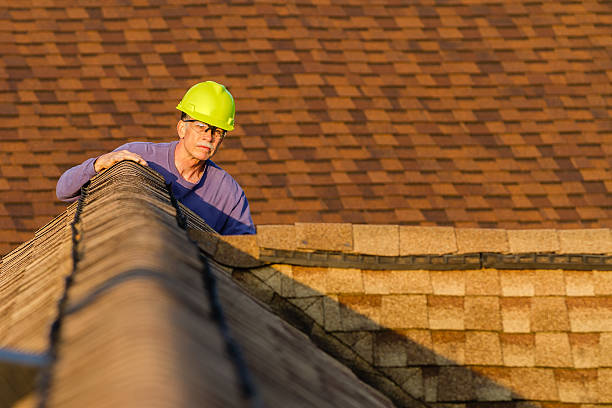Best Residential Roofing Contractor  in Ferdand, IN