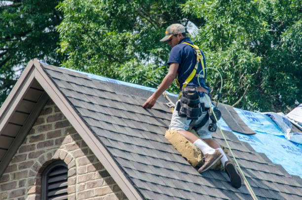 Best Local Roofing Companies  in Ferdand, IN